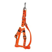 Leash & Harness Set for Pets – Soft Nylon Printed, Durable & Comfortable (Color May Vary)